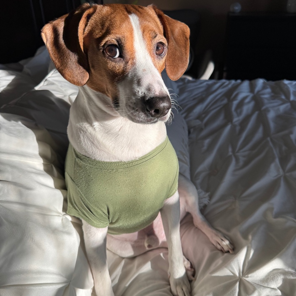 Meet your Posher, Drax the Destroyer